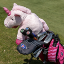 Junior Training System